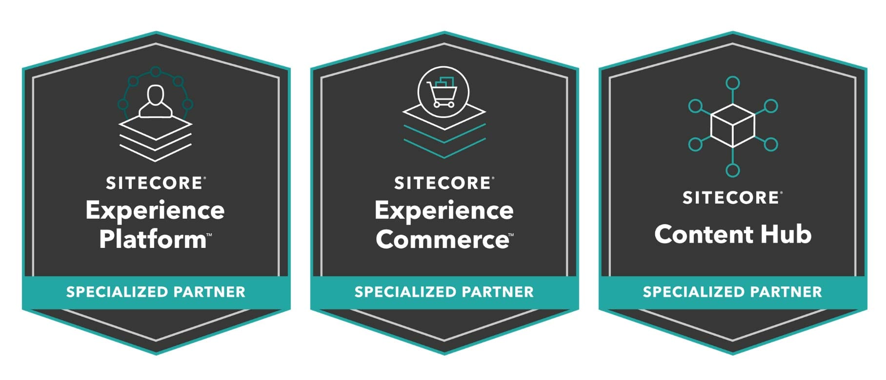 Sitecore Specialized Partner