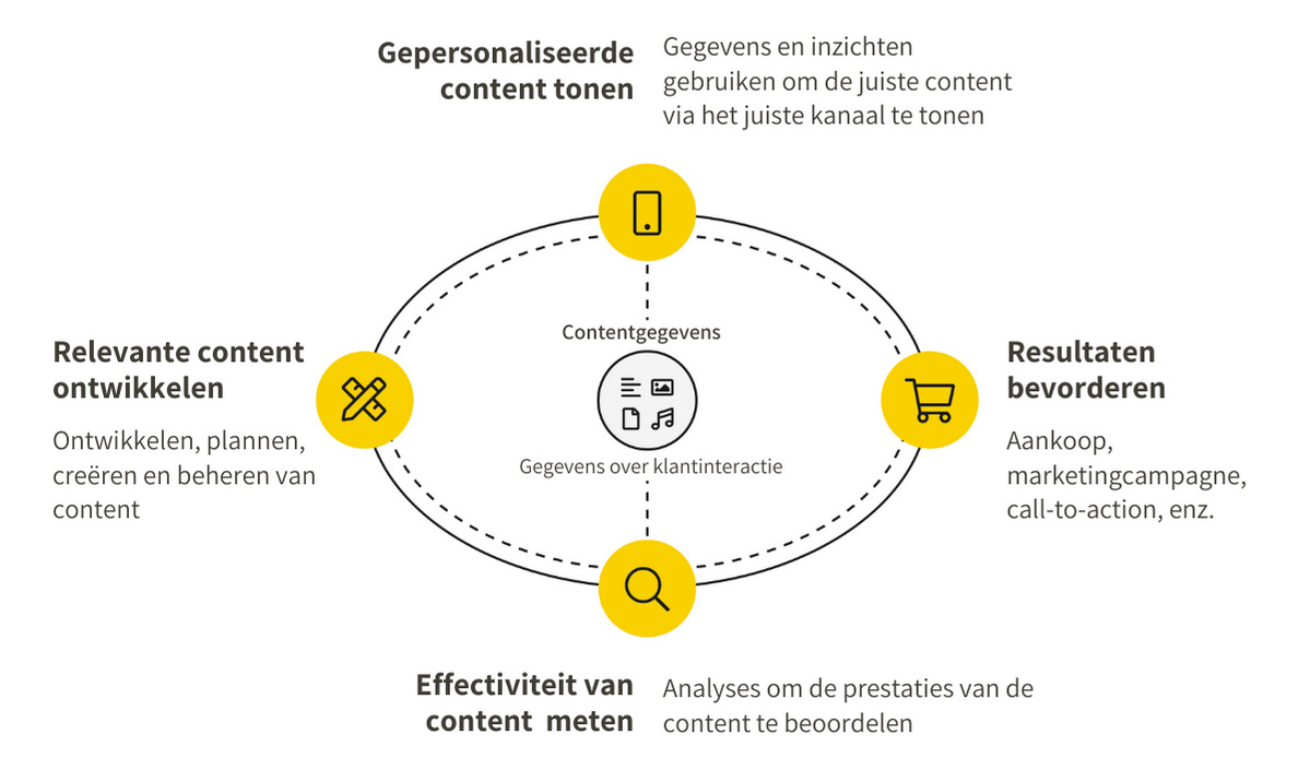 lifecycle