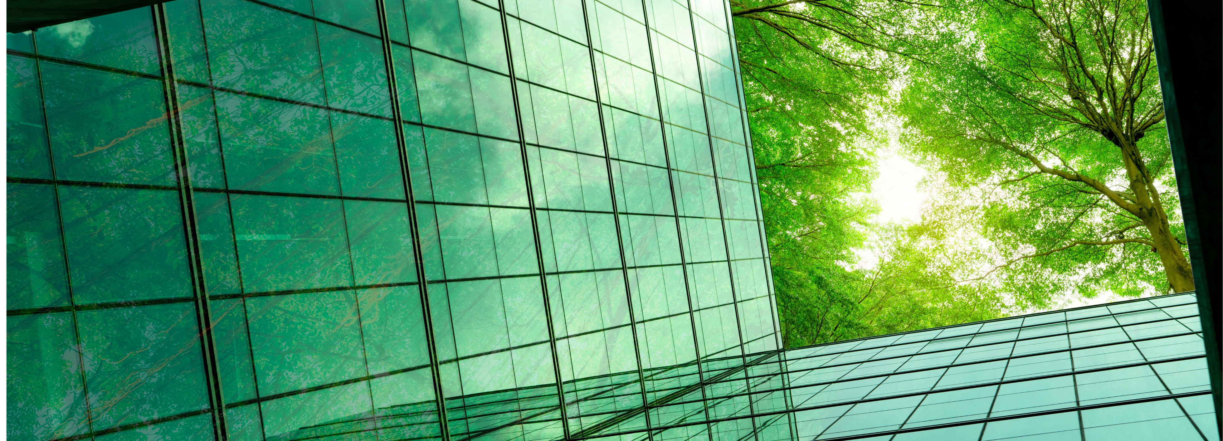Efficiënte ESG-rapportage